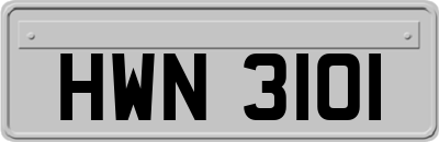 HWN3101