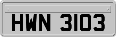 HWN3103