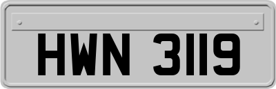 HWN3119