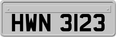 HWN3123