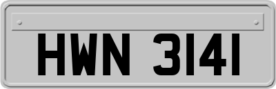 HWN3141