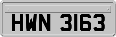 HWN3163
