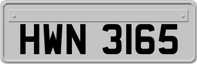 HWN3165