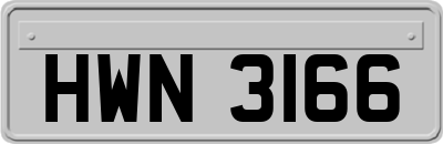 HWN3166