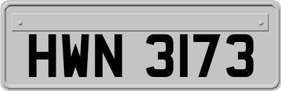 HWN3173