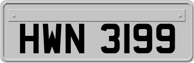 HWN3199