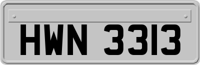 HWN3313