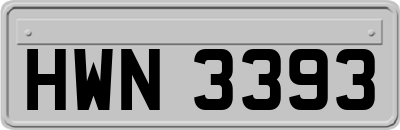 HWN3393