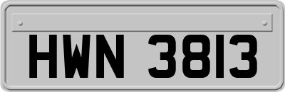 HWN3813