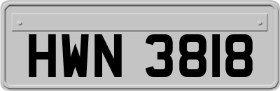 HWN3818
