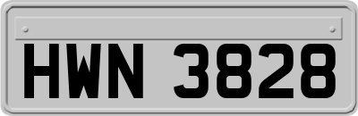 HWN3828