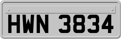 HWN3834