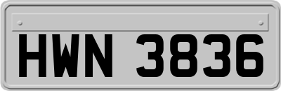 HWN3836