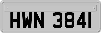 HWN3841