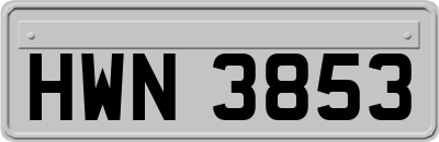 HWN3853