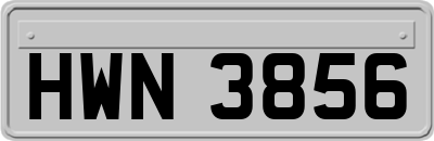HWN3856