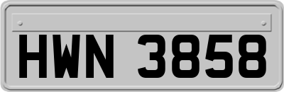 HWN3858