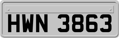 HWN3863