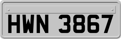 HWN3867