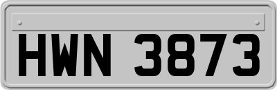 HWN3873