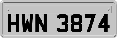 HWN3874