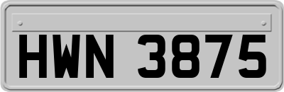HWN3875