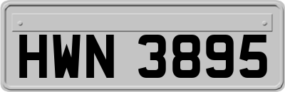 HWN3895