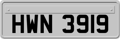 HWN3919