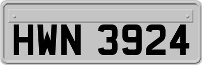 HWN3924