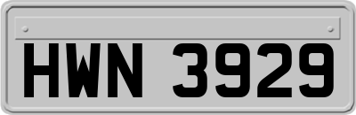 HWN3929