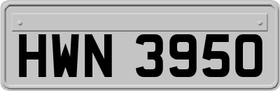 HWN3950