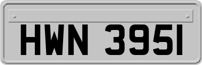 HWN3951