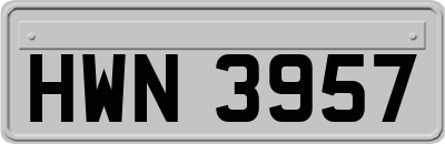HWN3957