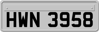 HWN3958