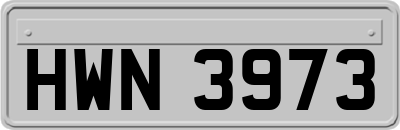 HWN3973