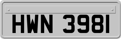 HWN3981