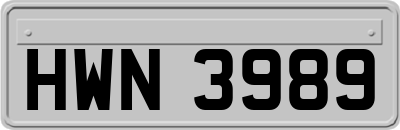 HWN3989