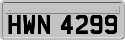 HWN4299
