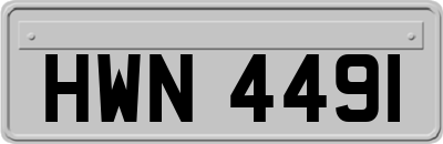 HWN4491