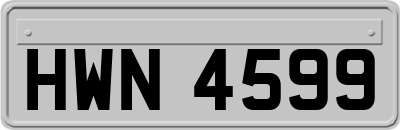 HWN4599