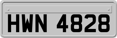 HWN4828