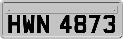 HWN4873
