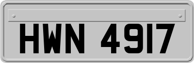 HWN4917