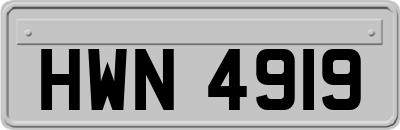 HWN4919
