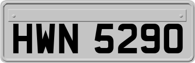HWN5290