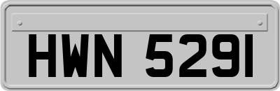 HWN5291