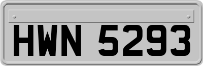 HWN5293