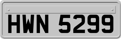 HWN5299