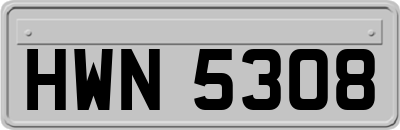 HWN5308