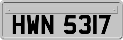 HWN5317